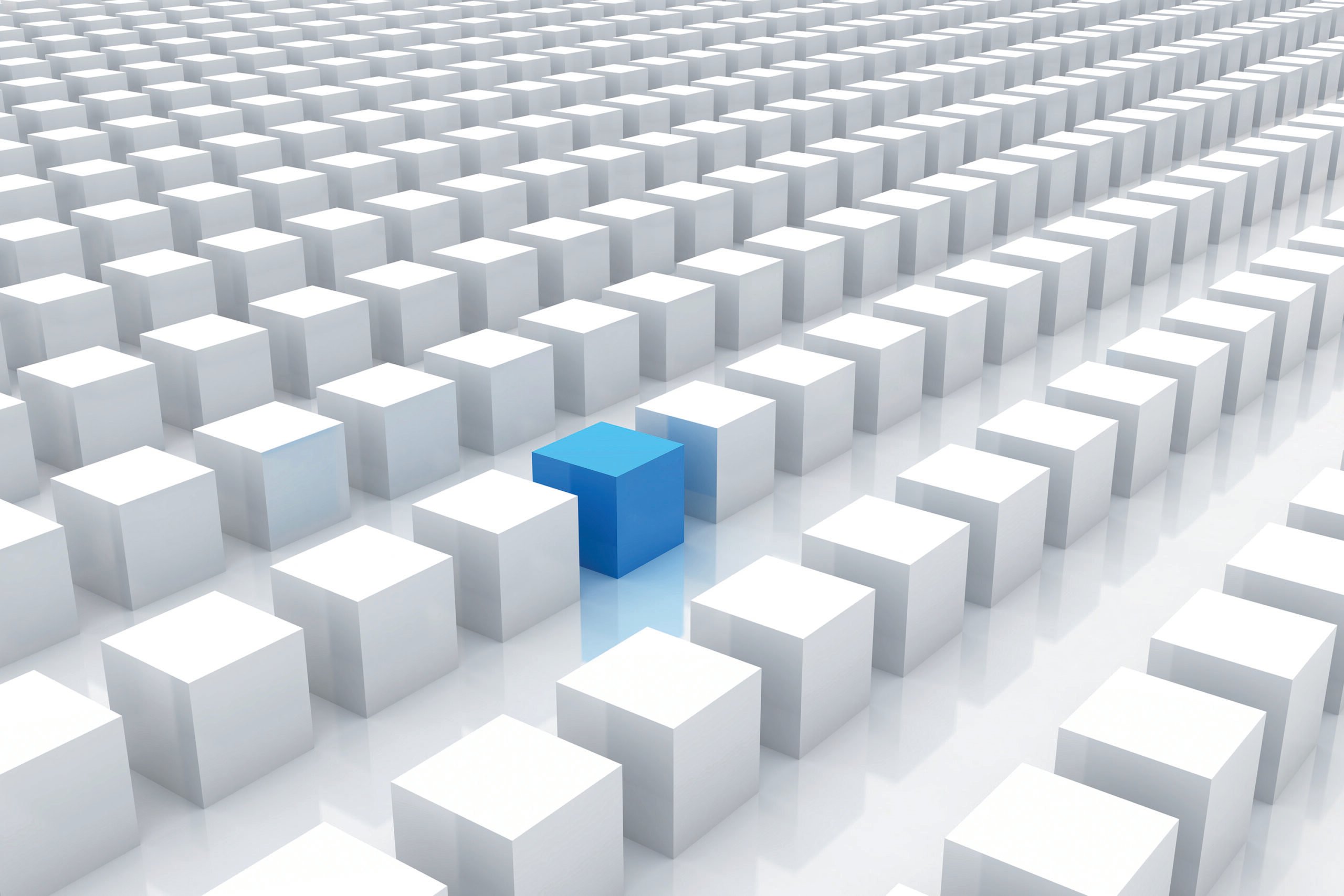 One blue cube stands out amid rows of white cubes