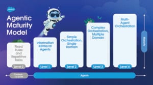 Salesforce Maturity Model